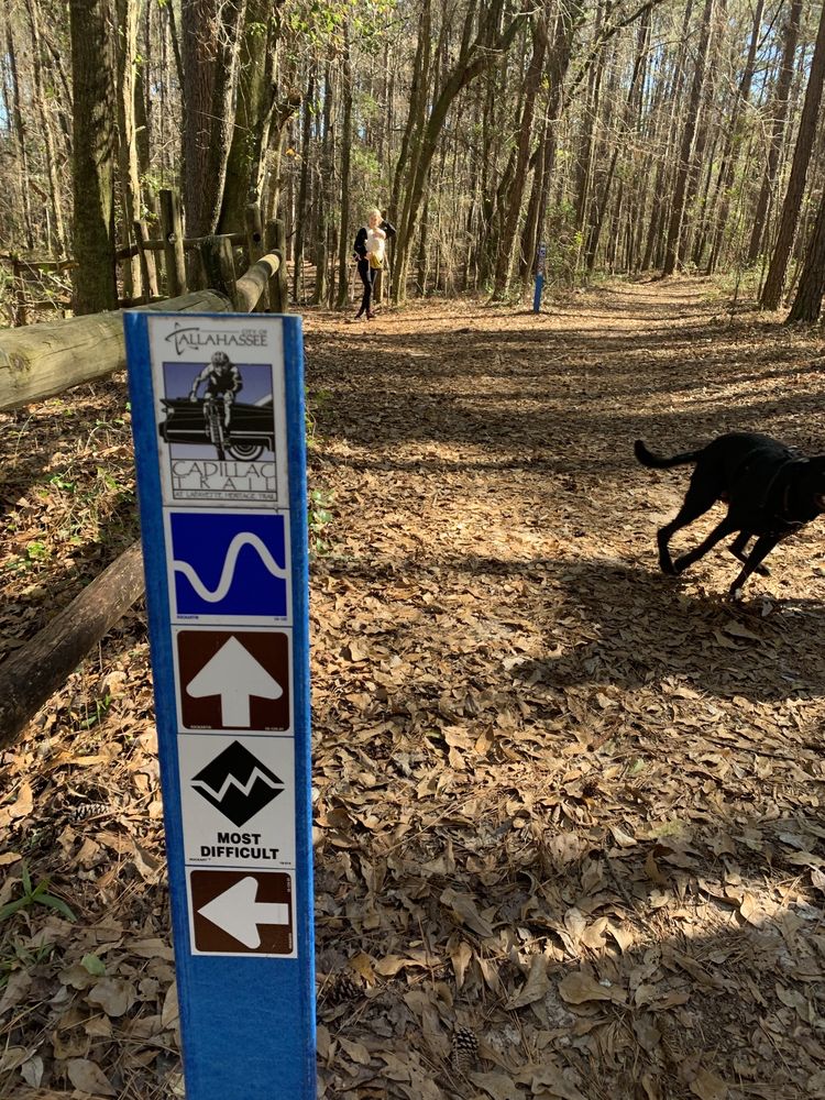 J. R. ALFORD GREENWAY Updated November 2024 40 Photos 2500 S