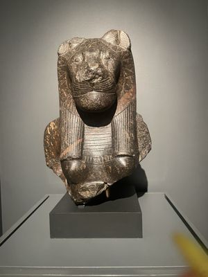 Michael C. Carlos Museum by null