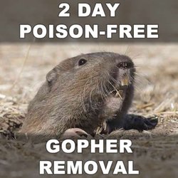 Gopher Stop