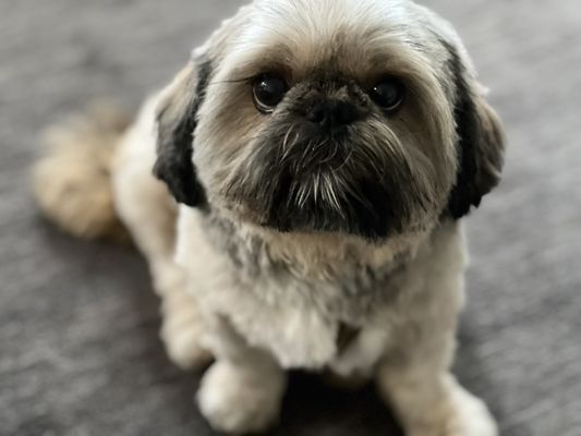 Wag N' Wash Natural Pet Food & Grooming