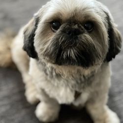 Wag N' Wash Natural Pet Food & Grooming