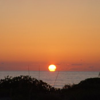 Beachcomber In Venice - Sunsets on the Gulf of Mexico - Vacation Rentals Near Me - Venice, Florida Beachcomber In Venice - Sunsets on the Gulf of Mexico - Vacation Rentals Near Me - Venice, Florida