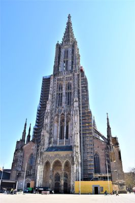 Ulm Minster by null
