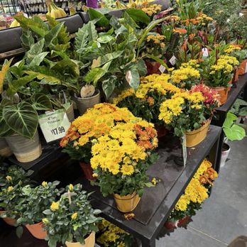 Wegmans - Grocery Near Me - Westwood, Massachusetts