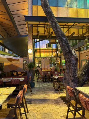 El Turco Upper Buena Vista by null