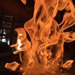 Wasabi - Flames!