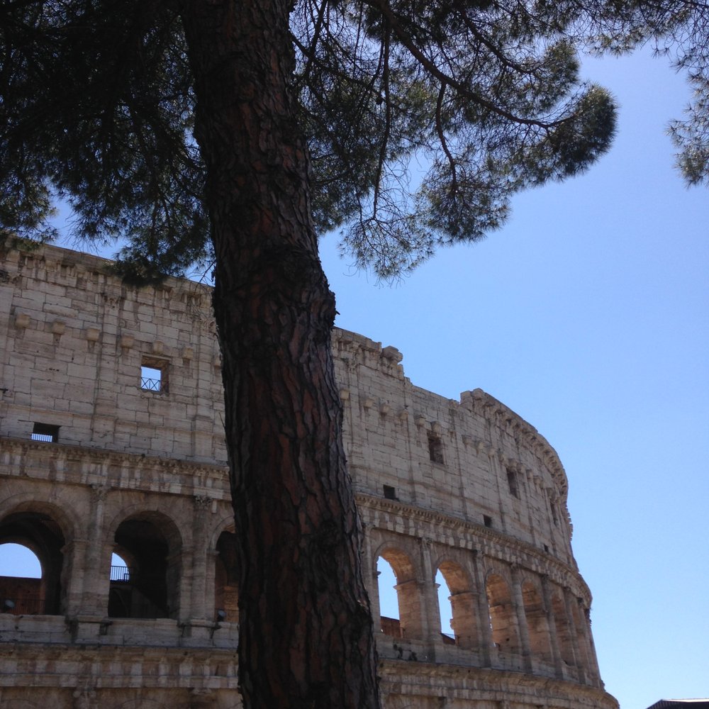 Colosseo - Local Flavor Near Me - Rome, RM