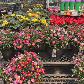 Lowe's Home Improvement - Beautiful colors - Hardware Stores Near Me - Dublin, California