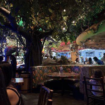 Rainforest Cafe - We got seated at the front . After requesting a day prior when I made reservations to be seated towards the fountain - American Near Me - Ontario, California Rainforest Cafe - We got seated at the front . After requesting a day prior when I made reservations to be seated towards the fountain - American Near Me - Ontario, California