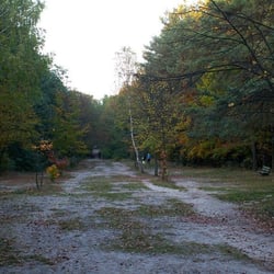Park Stadion Leśny - Ścieżki jak najbardziej naturalne: zero betonu, zero asfaltu. Główna aleja okrążająca cały park.