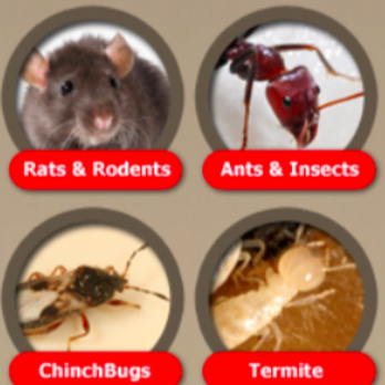Conquest Enviromental Pest Control - Pest Control Near Me Conquest Enviromental Pest Control - Pest Control Near Me