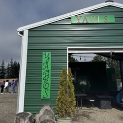 Yabes Taco Truck