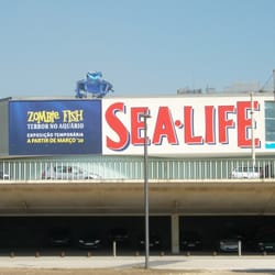 Sea Life