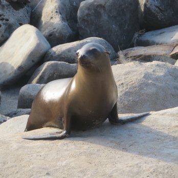 Coast Walk Trail - Hiking Near Me - San Diego, California