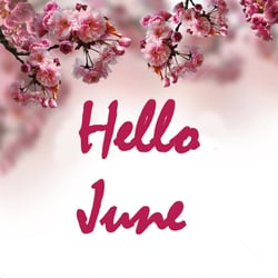 I Love Yo - Hello June