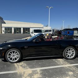 Russ Milne Ford - Mustang GT convertible
