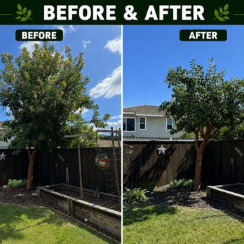 West Coast Tree - Tree Services Near Me - Ventura, California West Coast Tree - Tree Services Near Me - Ventura, California