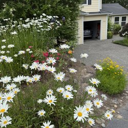 Apol's Landscape Maintenance