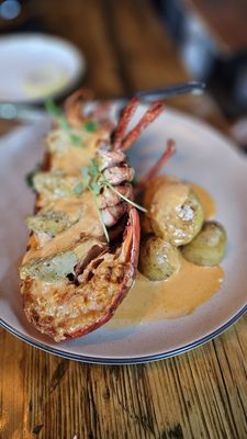 Earth at Hidden Pond by null