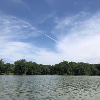 Meeman-Shelby Forest State Park - Another picture from the lake - Parks Near Me - Millington, Tennessee Meeman-Shelby Forest State Park - Another picture from the lake - Parks Near Me - Millington, Tennessee