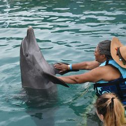 HDS Will Travel Dream Vacations