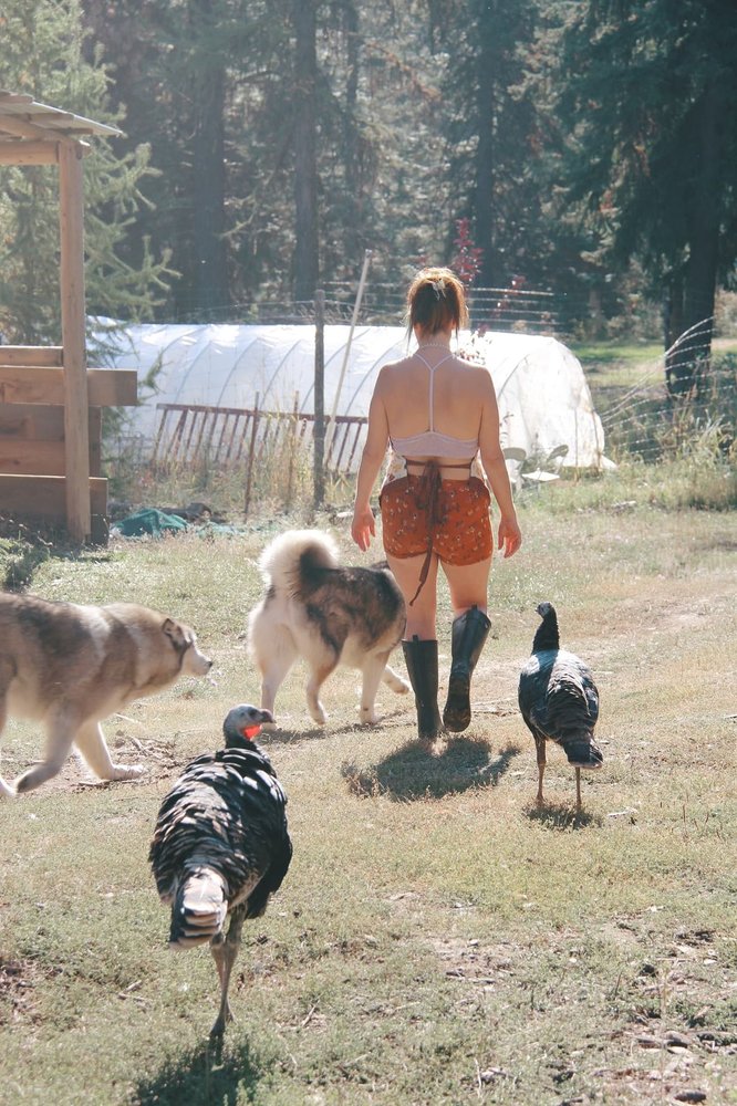 NORTH PALOUSE VETERINARY CLINIC Updated September 2024 10 Reviews