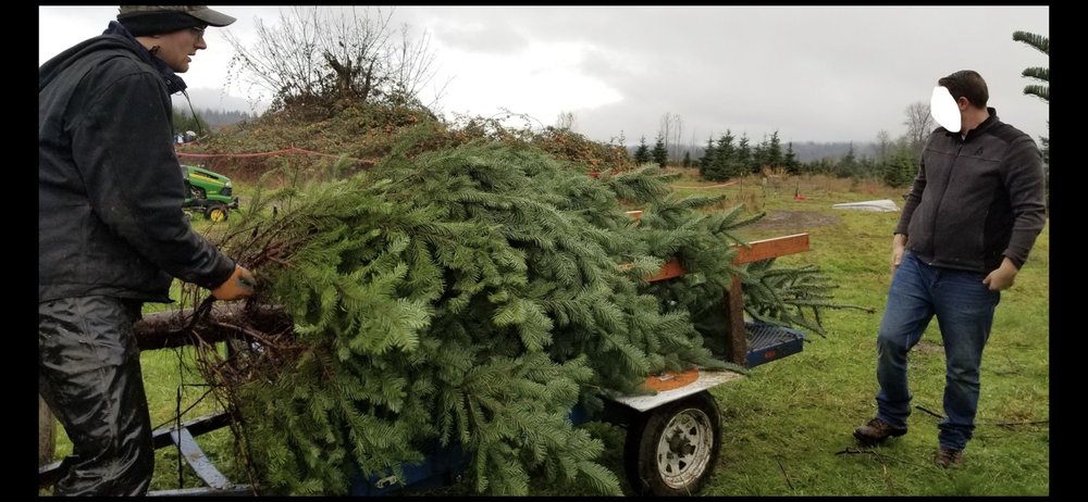 Snow Valley Christmas Tree Farm - beekeeping in Duvall, WA
