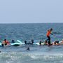 Summer Of Surf