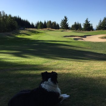 Bosley's - Pet Stores Near Me - Coquitlam, British Columbia