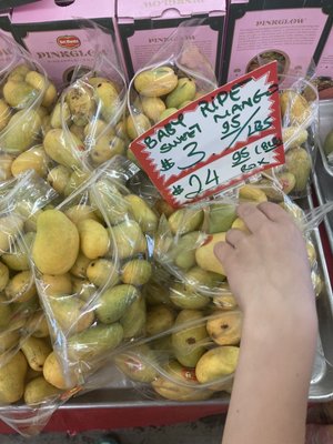 Tan Sang Tropical Fruit by null