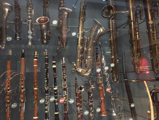 Horniman Museum and Gardens by null