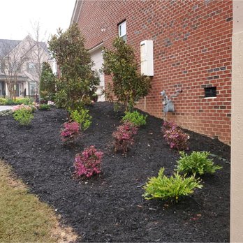Solomon's Landscape & Design - New plantings with magnolias in Five Forks, SC - Landscaping Near Me Solomon's Landscape & Design - New plantings with magnolias in Five Forks, SC - Landscaping Near Me