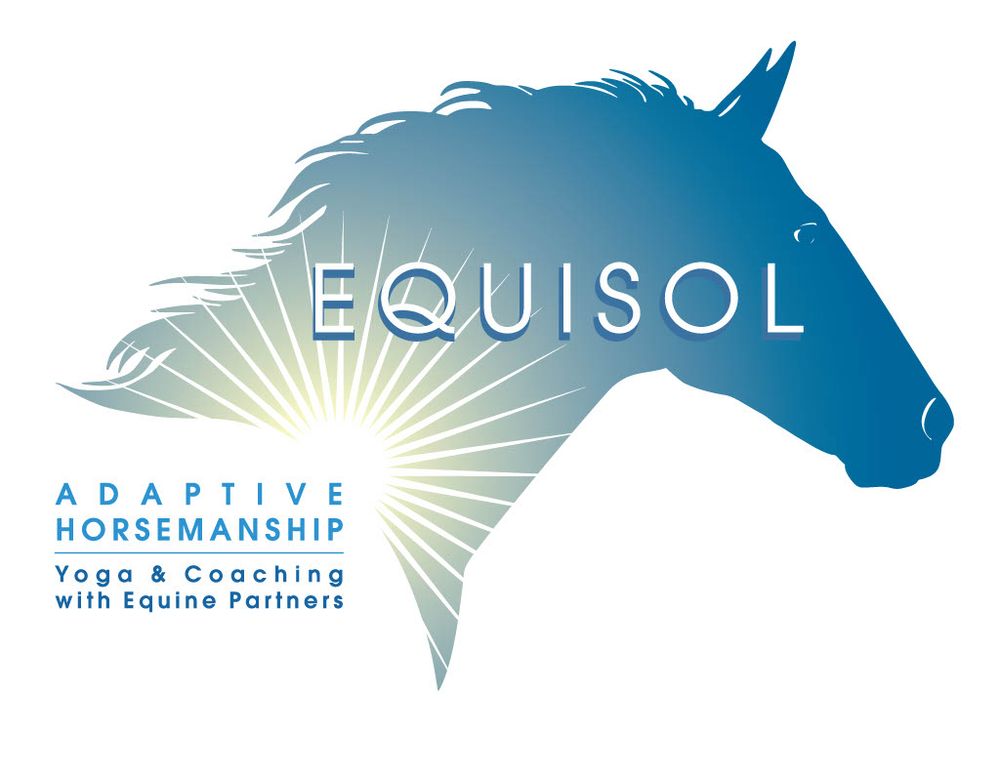 Equisol Adaptive Horsemanship - equestrian in Reno, NV