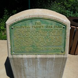 Treaty Oak