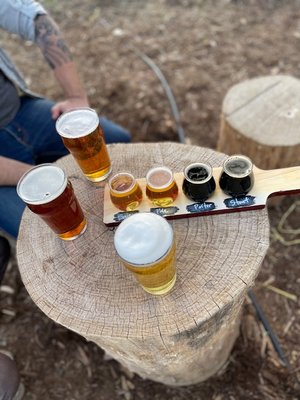 Stodgy Brewing Company by null