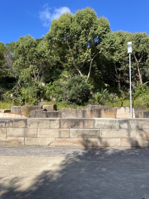 Barangaroo Reserve by null
