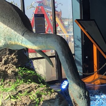 Discovery Cubes Ocean Quest photo 6