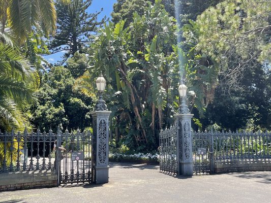 Adelaide Botanic Garden by null