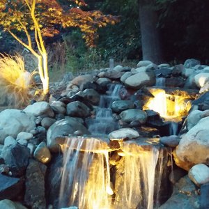 Photo of Closer to Nature Landscape - Seattle, WA, United States. At night there is the added bonus of lights!
