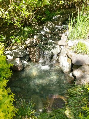 Rainier Aquascapes Logo