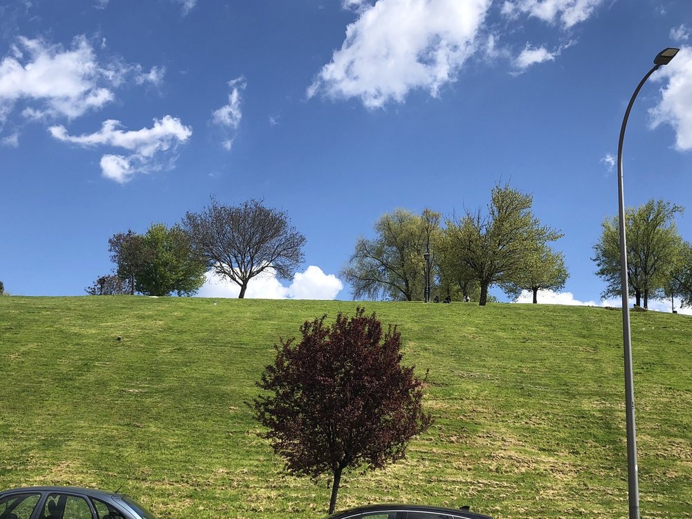 Parque del Cerro del Tío Pío