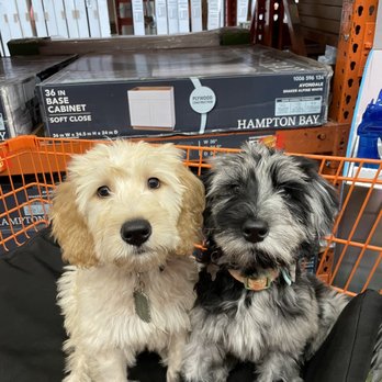 Paws At Main - Pet Groomers Near Me - Corona, California Paws At Main - Pet Groomers Near Me - Corona, California
