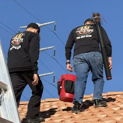 Unified Chimney Sweep - Job set up