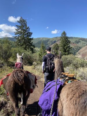 Paragon Guides by null