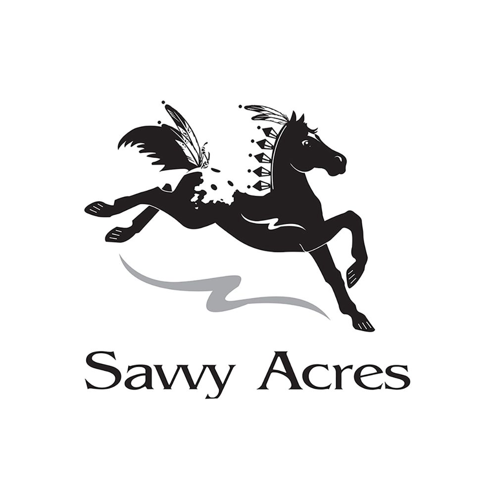 SAVVY ACRES Updated September 2024 2030 Pipers Gap Rd, Galax, Virginia Horseback Riding