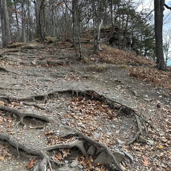 Vroman's Nose Trail - Hiking Near Me - Middleburgh, New York