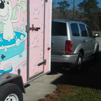 Celeste's  Mobile Pet Spa - Pet Groomers Near Me