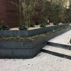 Steel raised garden beds with tall bamboos!
