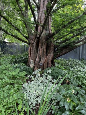 Fantastic Umbrella Factory by null