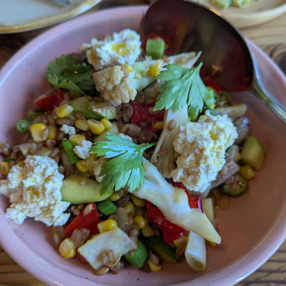 Feral - Summer Farro Succotash - Vegan Near Me - Portland, Oregon Feral - Summer Farro Succotash - Vegan Near Me - Portland, Oregon